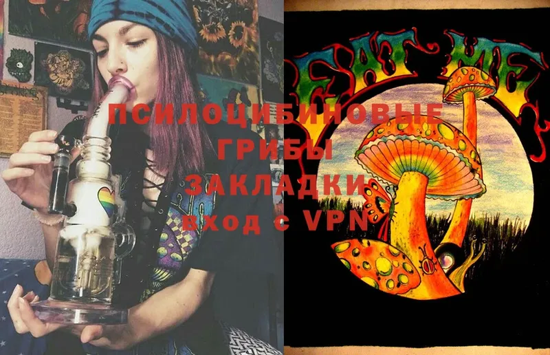 Галлюциногенные грибы Magic Shrooms  Каменка 